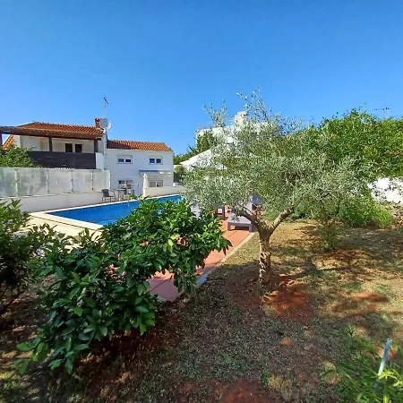 Sebelja Pola